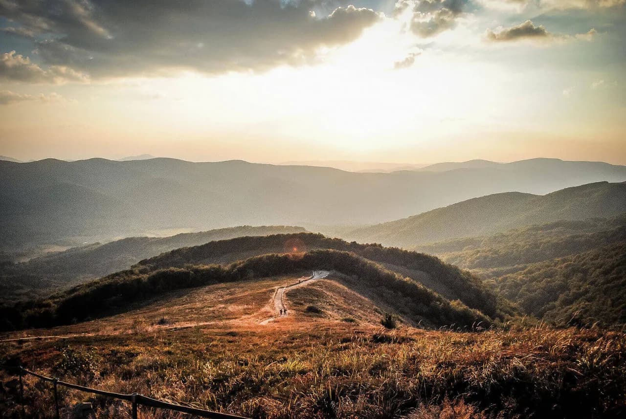 Czy w Bieszczadach jest bezpiecznie? Fakty, które musisz znać przed podróżą
