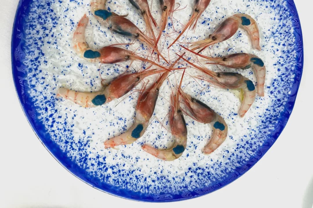 Gdzie zjeść w Maladze? Odkryj najlepsze restauracje z owocami morza