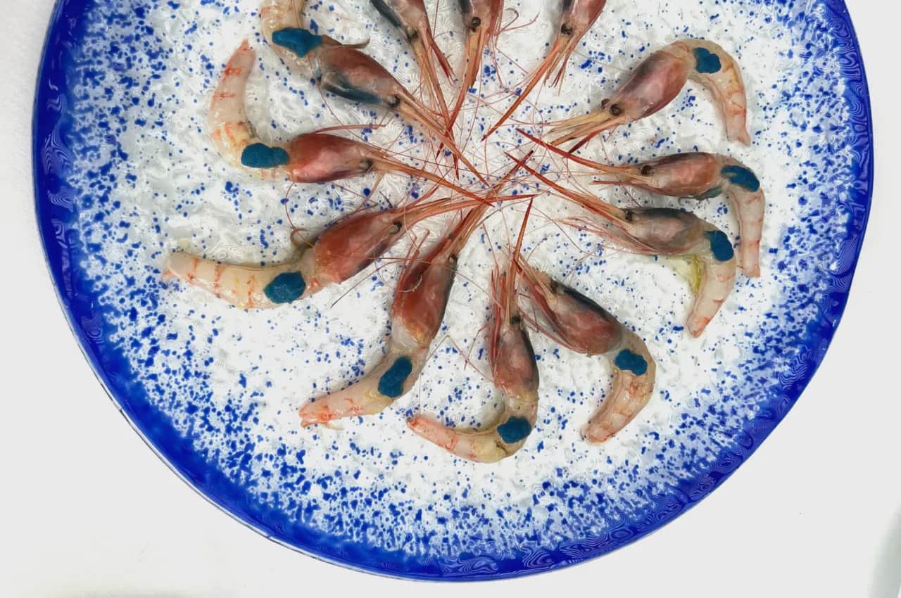 Gdzie zjeść w Maladze? Odkryj najlepsze restauracje z owocami morza