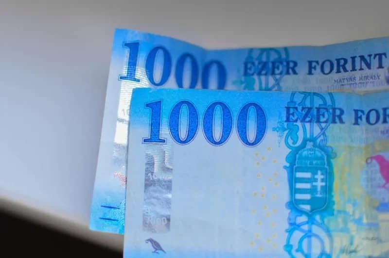 Jaka waluta obowiązuje na Węgrzech? Wszystko o forincie węgierskim i wymianie